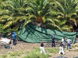Geger Skandal Orang Hilang di Jeju, 4 Polisi Senior Dicopot