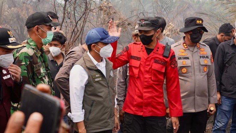 Tiga Perusahaan di Jambi Diselidiki Terkait Karhutla