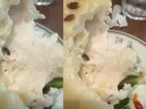 Ngeri! Ada Cacing di Pesanan Sandwich Restoran Ternama