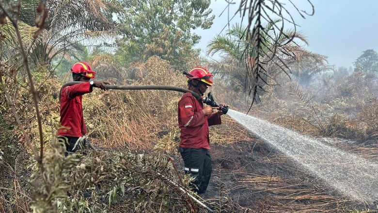 Pemprov Riau Ungkap Kolaborasi Lintas Sektor Tangani Karhutla