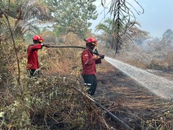 Pemprov Riau Ungkap Kolaborasi Lintas Sektor Tangani Karhutla