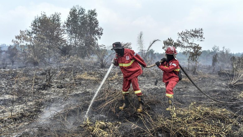 Masih Ada Hotspot Karhutla di 6 Provinsi, BMKG Lakukan Modifikasi Cuaca