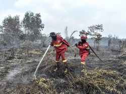 3,4 Juta Warga Terdampak Asap Karhutla, Kasus ISPA Naik Tajam di Kalimantan