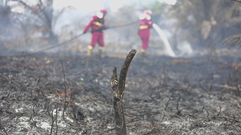 BRIN Uji Teknologi Berbasis Pati Singkong Bantu Padamkan Karhutla