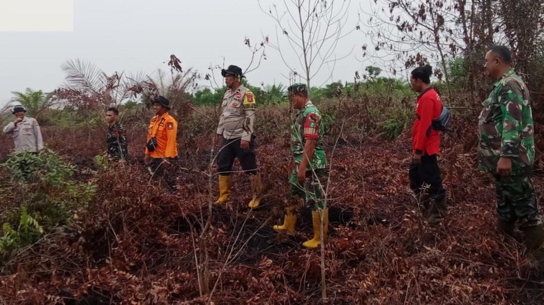 Diguyur Hujan Lebat, Karhutla di Bengkalis Padam