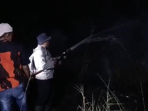 Karhutla 10 Hektare di Sponjen Muaro Jambi Padam Berkat Kesigapan Petugas