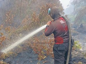 Karhutla di Pelalawan Riau Disebut Tuntas, Api Tak Terlihat Lagi