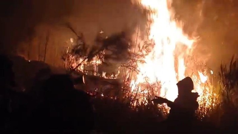 10.835 Hektare Hutan dan Lahan di Jatim Terbakar hingga Agustus 2026
