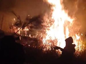 Relawan Desa di Pasuruan Nekat Padamkan Api Lereng Arjuno Hingga Malam