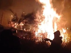 Relawan Desa di Pasuruan Nekat Padamkan Api Lereng Arjuno Hingga Malam