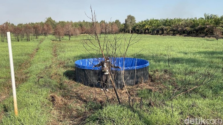 Atasi Karhutla, Kolam Bioflok Milik Polda Kalsel Jadi Penampungan Air