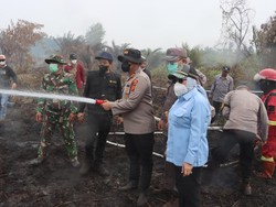 Karhutla Jambi Meluas, Sinergi dan Pencegahan Terus Ditingkatkan