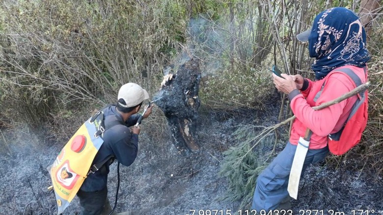 Karhutla, Pendakian Gunung Semeru Ditutup Total!