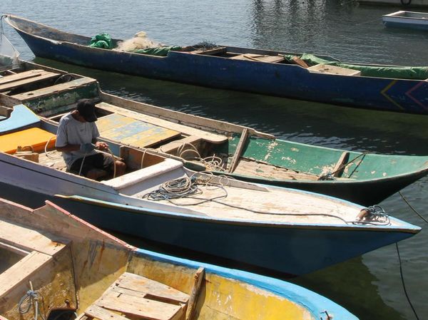 Aktivitas Nelayan Sikka Kembali Bergeliat Pascagempa