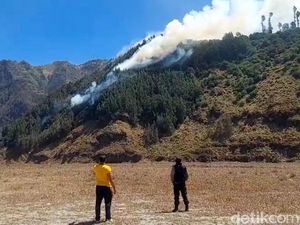 Kawasan Bromo Kembali Terbakar
