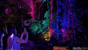 Foto-foto Estetik Wisata Malam di Hutan Langkawi