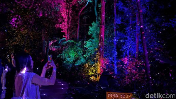 Foto-foto Estetik Wisata Malam di Hutan Langkawi