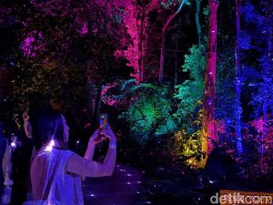 Malam-malam Trekking ke Hutan Langkawi, Estetik Banget