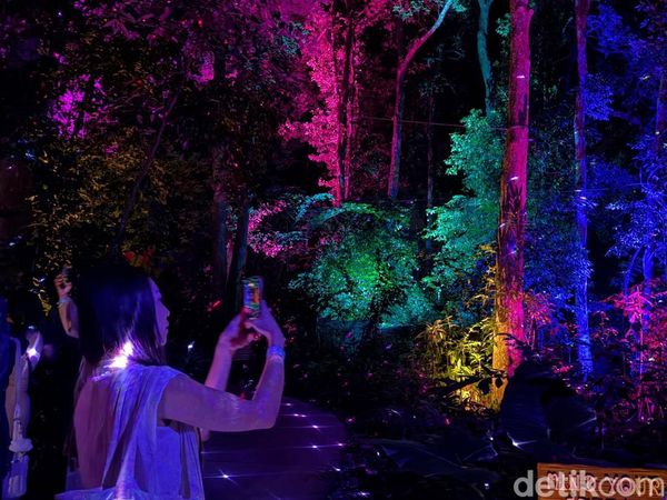 Foto-foto Estetik Wisata Malam di Hutan Langkawi