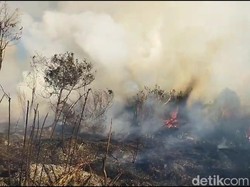 Petugas Gabungan Buat Sekat Bakar Tangani Karhutla di Jalur Pendakian Semeru