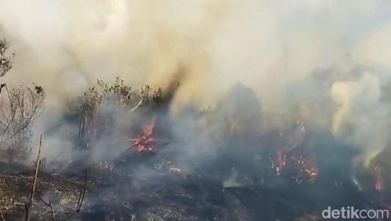 Fakta-fakta Kebakaran Hutan Gunung Semeru hingga 172 Pendaki Dievakuasi