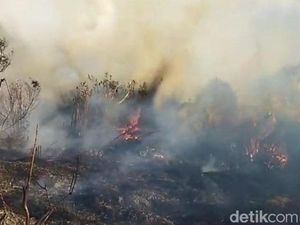 Video Kebakaran di Hutan Ranu Kembar Gunung Semeru