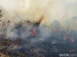 Fakta-fakta Kebakaran Hutan Gunung Semeru hingga 172 Pendaki Dievakuasi
