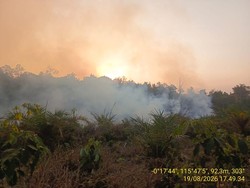 Udara Berau-Paser Berpeluang Tidak Sehat, Asap Karhutla Sampai Malaysia