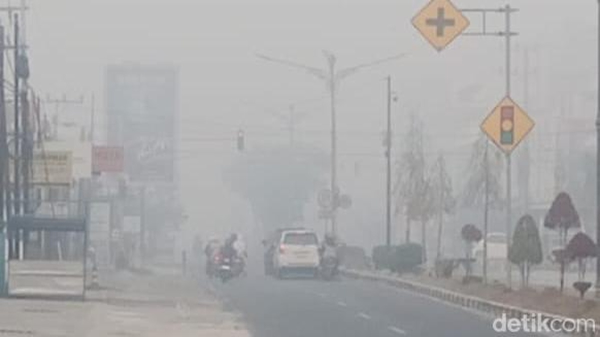 Komisi IX DPR Dorong Status KLB Kabut Asap Akibat Karhutla