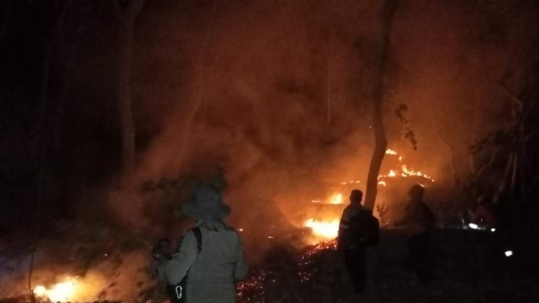 5 Karhutla Melanda Ponorogo dalam Sehari, 6,1 Hektare Lahan Terbakar