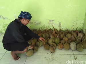 Musim Durian Tiba, Saatnya Menjelajah Baduy