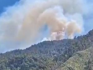 Pos 3 Gunung Latimojong via Angin-angin Kebakaran Pagi Ini