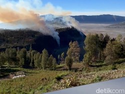 Seruni Point Bromo Kembali Terbakar, Api Dekati Homestay dan Jembatan