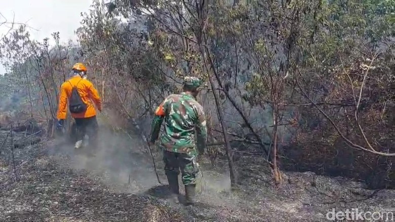 Medan Terjal-Sumber Air Jadi Kendala Upaya Pemadaman Gunung Semeru