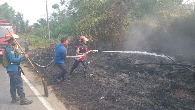 Kabut Asap Karhutla Kepung Lubuklinggau, Kualitas Udara Tak Sehat