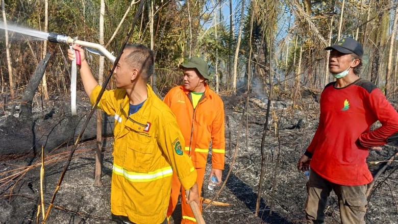 KPH Kubar Bantah Tak Turun Padamkan Karhutla: Kami Punya Keterbatasan
