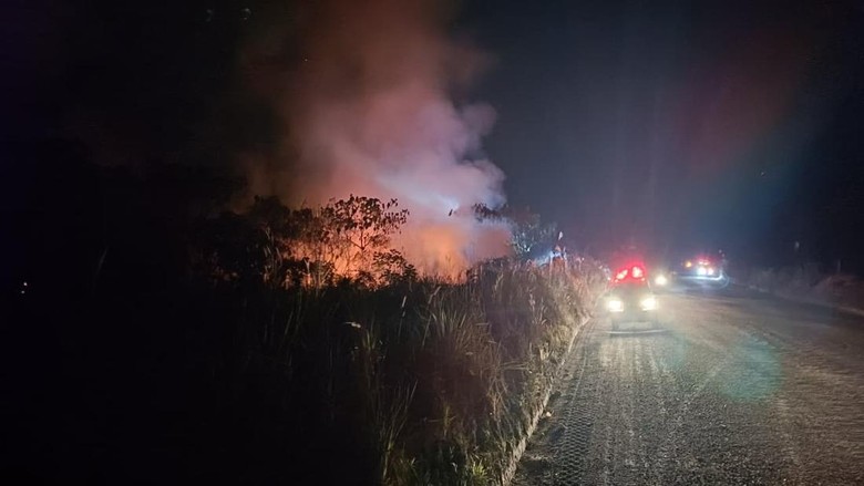 Perjuangan Petugas Dishut Kaltim Padamkan Karhutla Pakai Dana Pribadi Dulu
