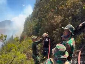 172 Pendaki Dievakuasi Imbas Jalur Pendakian Semeru Kebakaran