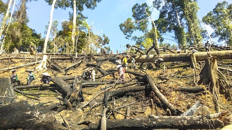 Pemerintah Janjikan Ekskavator untuk Buka Lahan, Aktivis Kaltara: Solusi Keliru