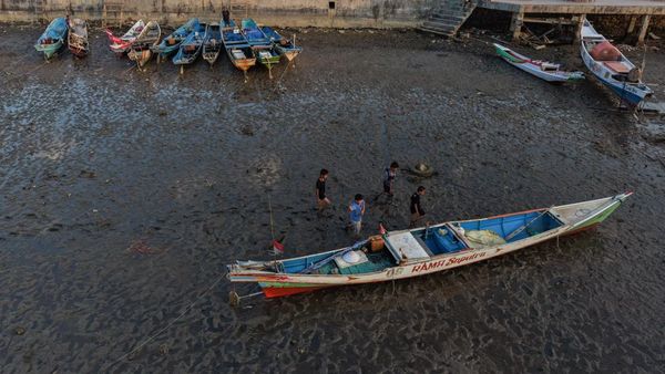 Teluk Kendari Kian Dangkal, Sedimentasi Hambat Aktivitas Nelayan