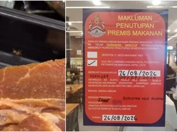 Apes! Lagi Asyik Makan Hotpot, Pelanggan Syok Temukan Kecoa di Daging