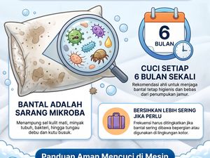 Infografis: Bukan Cuma Sarungnya yang Kotor, Bantal Juga Harus Dicuci