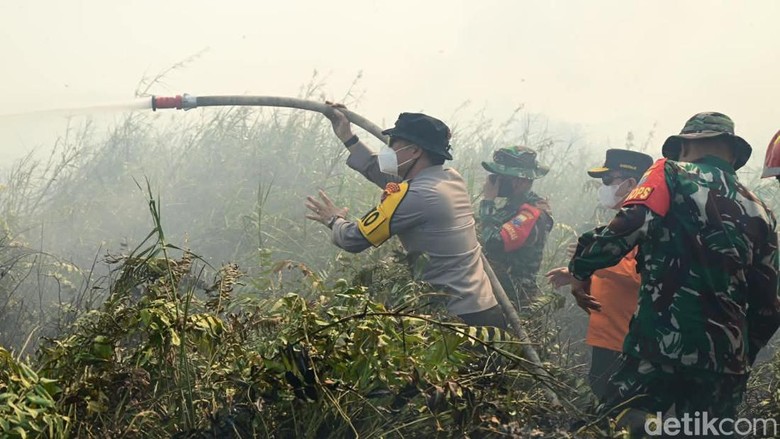 Satgas Karhutla Jambi Padamkan Kebakaran Lahan di TNBS