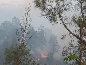 Kebakaran Terdeteksi di Bukit Kingkong Bromo