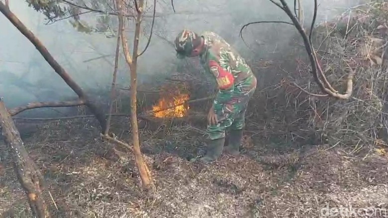 Video Petugas Berjibaku Padamkan Karhutla di Semeru dengan Cara Manual