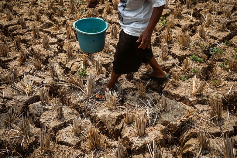 BMKG: Awal September Masih Panas dan Kering, 4 Wilayah Ini Sempat Capai Suhu 36°C
