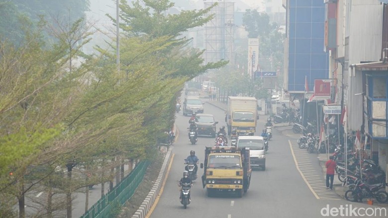 ISPA Meningkat, Legislator Minta Status KLB Ditetapkan di Kalimantan
