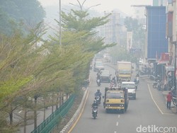 Kasus Pneumonia di Pontianak Meningkat Imbas Asap Karhutla