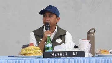 Menhut Puji Hotspot di Riau di Posisi Terendah: Pakar Sampai Kebingungan