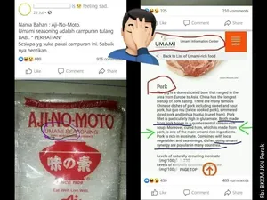 Heboh MSG di Malaysia Disebut Mengandung Babi, Pemerintah Beri Klarifikasi